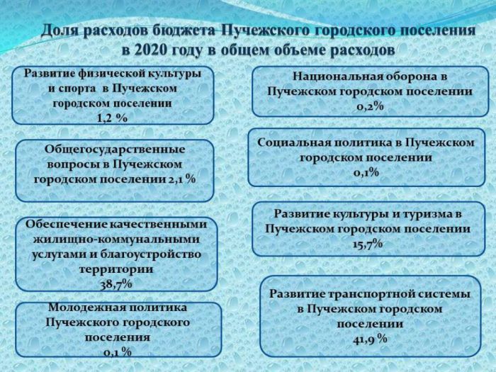 Информация об исполнении бюджета  Пучежского  городского поселения за 2020 года